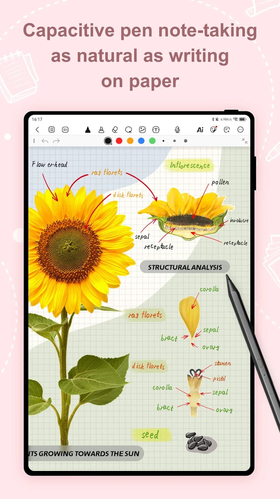 Kilonotes — Capture d’écran 5