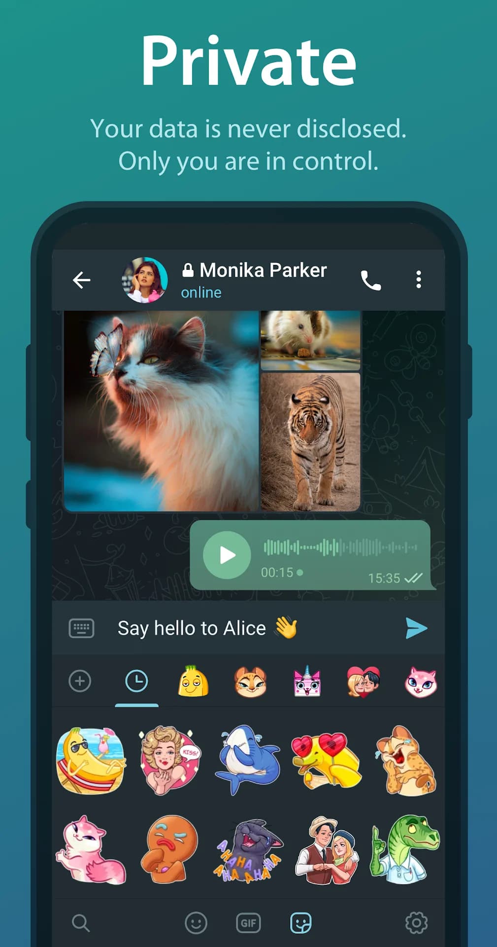 Telegram — Screenshot 4
