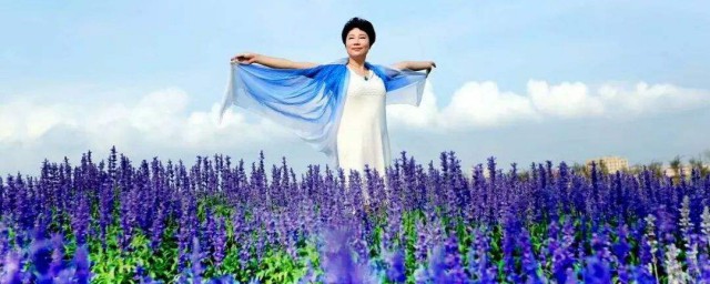 走在花海裡的心情句子 走向花海時可想到這些句子