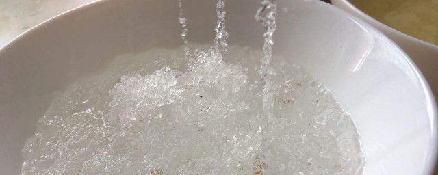 雪燕怎麼泡發 雪燕的泡發方法介紹