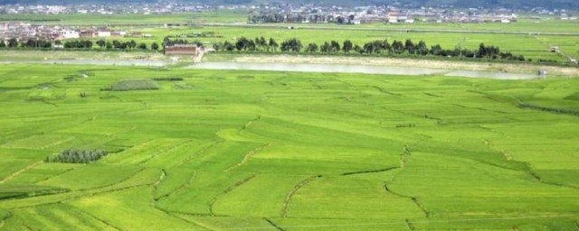 什麼是農業用地 什麼是農業用地指標