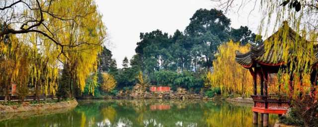 逛公園的心情唯美句子 逛公園的心情唯美句子列述