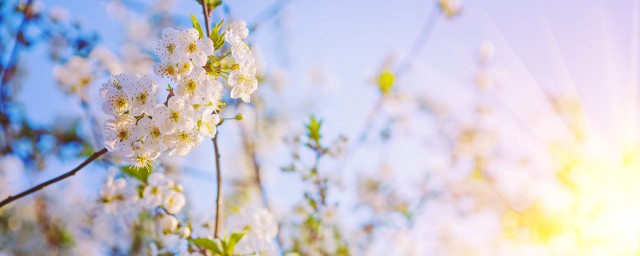 水中月鏡中花是什麼意思 水中月鏡中花的意思