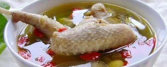 鴿子怎麼燉湯好喝又營養 怎麼燉營養又好喝