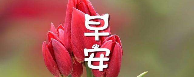 很甜的早安語錄 很甜的早安語錄句句甜到心窩裡