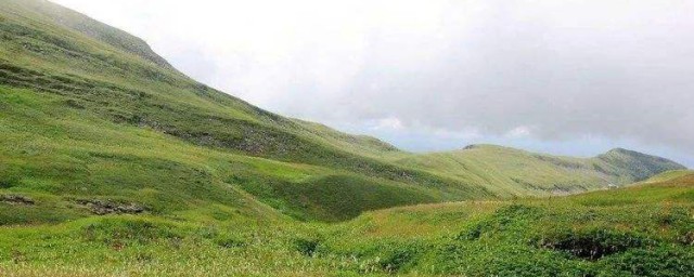 夢見除草是什麼意思 一定要註意瞭