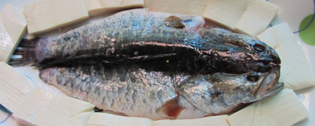 柴魚的清蒸方法 清蒸柴魚的做法