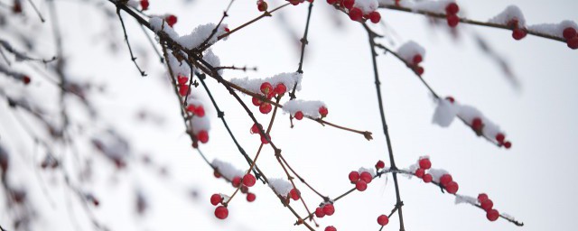 下雪瞭的幽默句子 怎麼表達下雪的心情