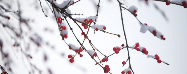 冬天第一場雪文案 需要怎麼寫出雪的好