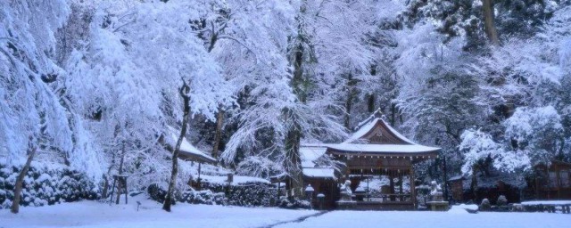 冬天第一場雪的朋友圈 冬天第一場雪的朋友圈說說文案