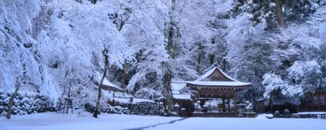 冬天第一場雪的心情 冬天第一場雪心情說說短語