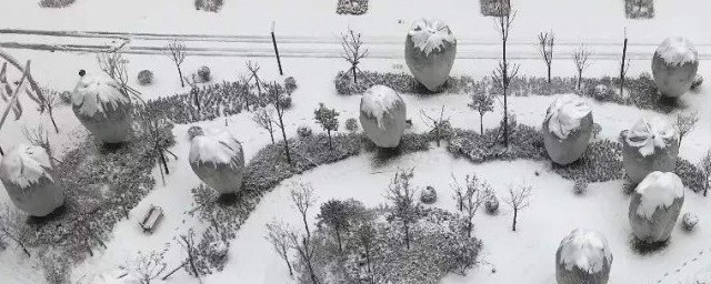 瑞雪兆豐年的瑞是什麼意思 瑞雪兆豐年的瑞意思是什麼