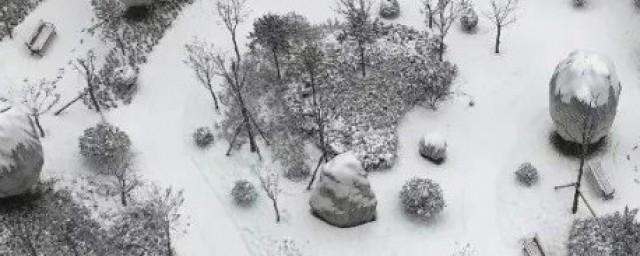 瑞雪的瑞是什麼意思 瑞雪的瑞意思是什麼