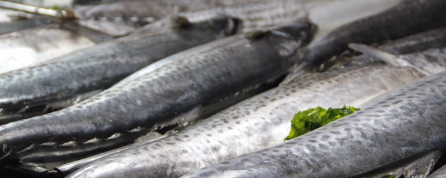 鮮鮁魚醃制方法 4步醃制鮁魚