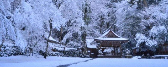 下雪適合發的朋友圈 適合下雪發朋友圈的文