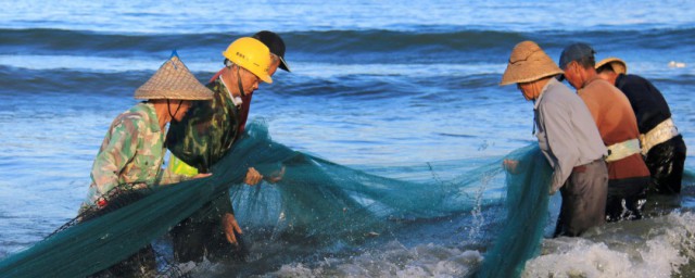 人工繁殖鰱魚方法 鰱魚怎麼人工繁殖