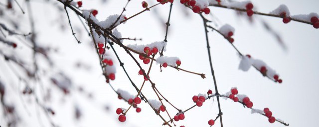 小雪的節氣含義 小雪節氣是第幾個節氣