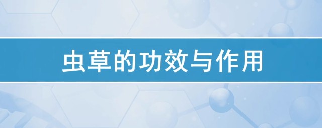 蟲草有什麼作用與功效 蟲草的功效與作用是什麼