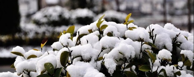 描寫春天雪景的句子 描寫春天雪景的詩句