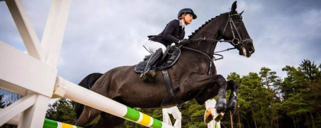 奧運會上男女選手同場競技的唯一大項比賽項目是 馬術起源於什麼