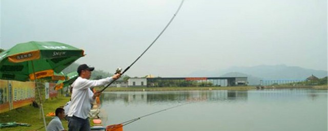上魚拋竿方法 專業且快速上魚的拋竿方法