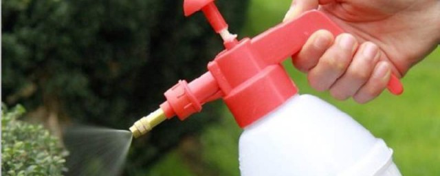 噴壺澆水方法 噴壺澆水方法教程