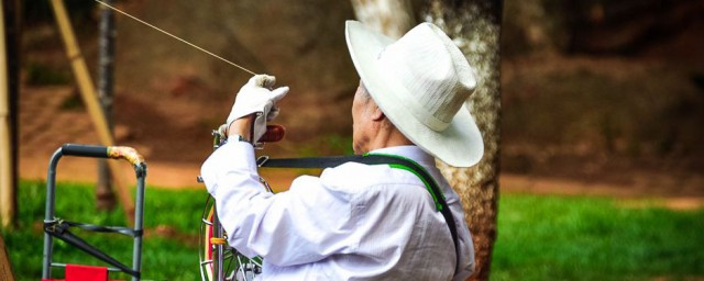 拜壽祝福語 拜壽祝福語推薦