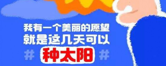 種太陽什麼梗 種太陽什麼意思