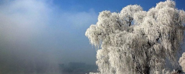 關於雪的作文600字 關於雪的作文600字范文