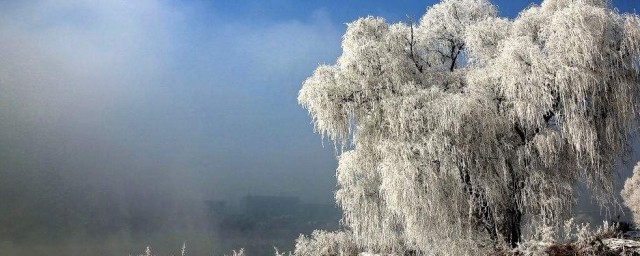 天氣轉冷瞭的句子 天氣轉冷瞭的句子列述