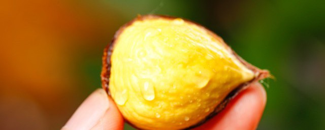 生栗子怎麼做 生栗子怎麼做比較好吃