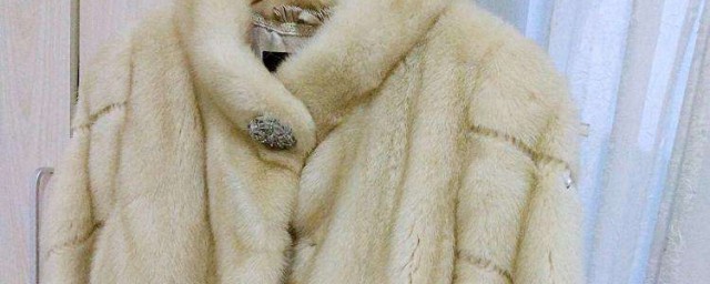 貂皮大衣如何保養 貂皮大衣怎樣保養
