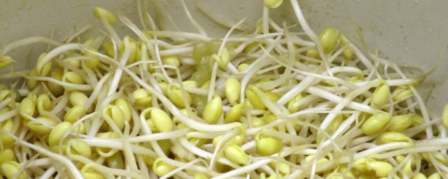 黃豆芽怎麼做 在傢做黃豆芽的做法
