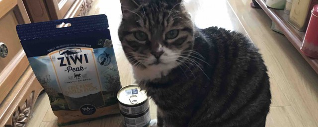怎樣做貓食盆架 如何做做貓食盆架