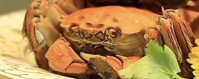 成語無腸公子是古人對哪種動物的別稱? 螃蟹介紹