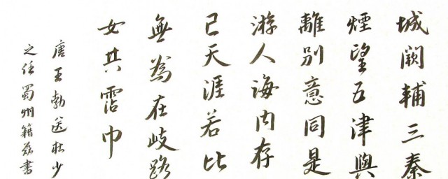 《送杜少府之任蜀州》句子賞析 全文中這兩句最讓人深思