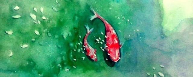 如魚飲水冷暖自知的意思 如魚飲水冷暖自知解釋及出處