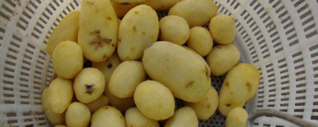 去皮的土豆怎麼保存 保存土豆的妙招