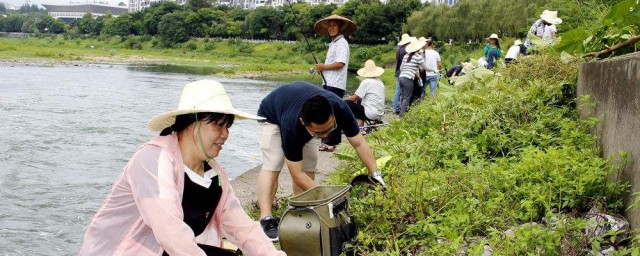 除草正確方法 怎麼除草好