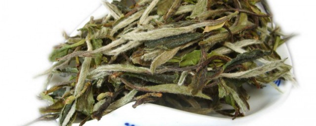 白牡丹茶的功效與作用 白牡丹茶的功效與作用介紹