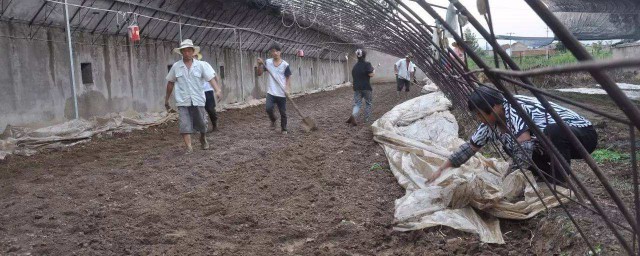 土壤消毒的方法一般有什麼處理 土壤消毒的方法有哪些