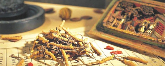 剛挖的蟲草怎麼保存 這樣保存蟲草才夠新鮮
