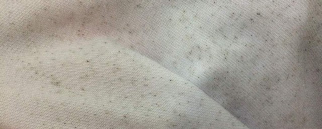 白衣服發黴怎麼洗掉黴斑 有什麼處理幹凈的技巧