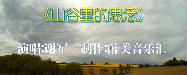 山谷裡的思念歌詞 山谷裡的思念歌詞全文