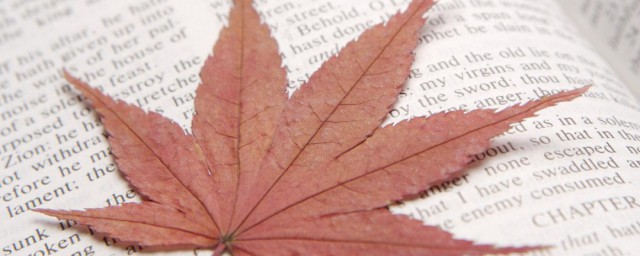 感謝爸爸媽媽的一段話 感謝爸爸媽媽的一段話有什麼