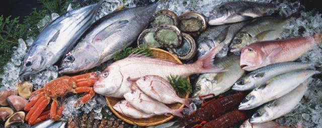 活海鮮怎麼保存過夜 海鮮剛死可以吃嗎