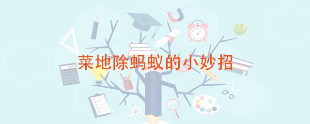 菜地除螞蟻的小妙招 這三種方法在野外也可除蟻
