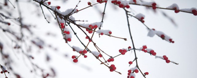 描寫雪景的唯美句子 寫雪景超唯美的短句