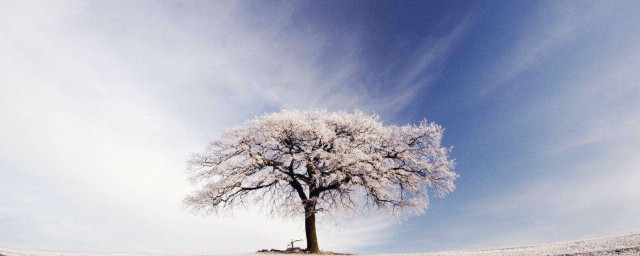 冬天下雪後適合發朋友圈的句子 冬天下雪後適合發朋友圈的句子有哪些