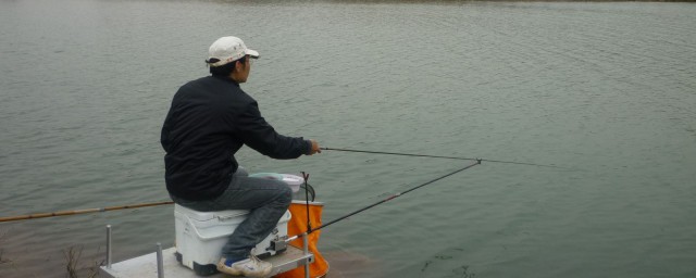 釣魚釣到王八預示什麼 有什麼好的說法呢